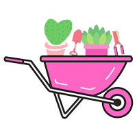 Carrito